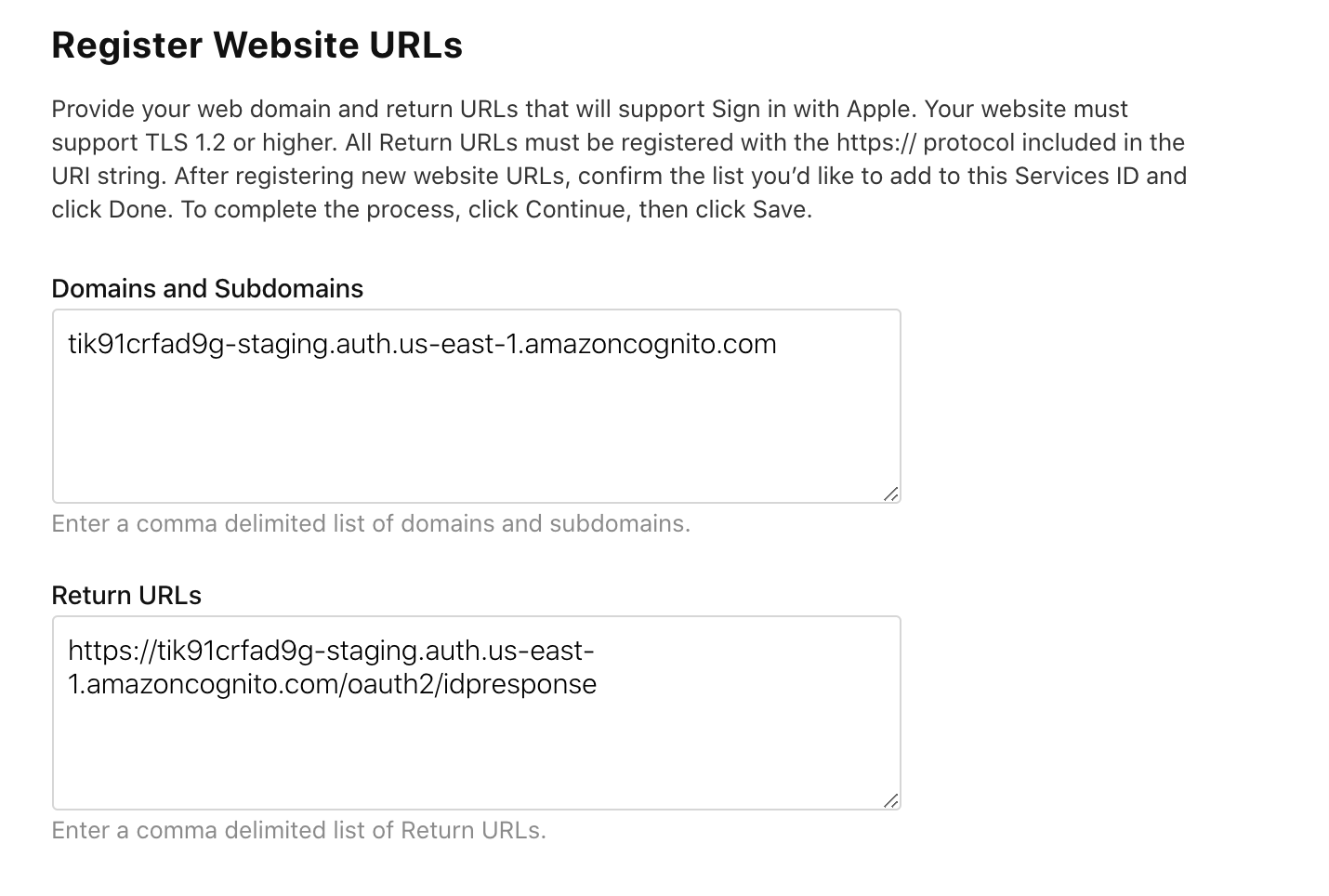The sign in with Apple interface with correct urls